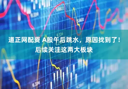 道正网配资 A股午后跳水，原因找到了！后续关注这两大板块