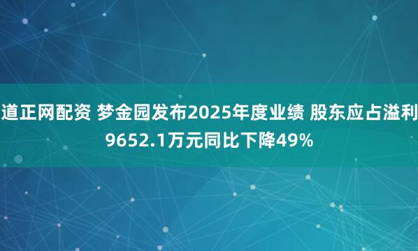 道正网配资 梦金园发布2025年度业绩 股东应占溢利9652.1万元同比下降49%